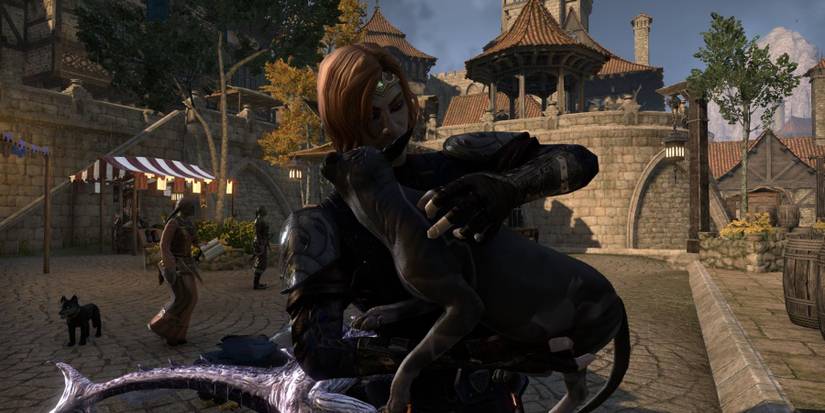 Elder Scrolls Online High Isle Mounts Pets Gonfalon Bay Cat Warmseeker