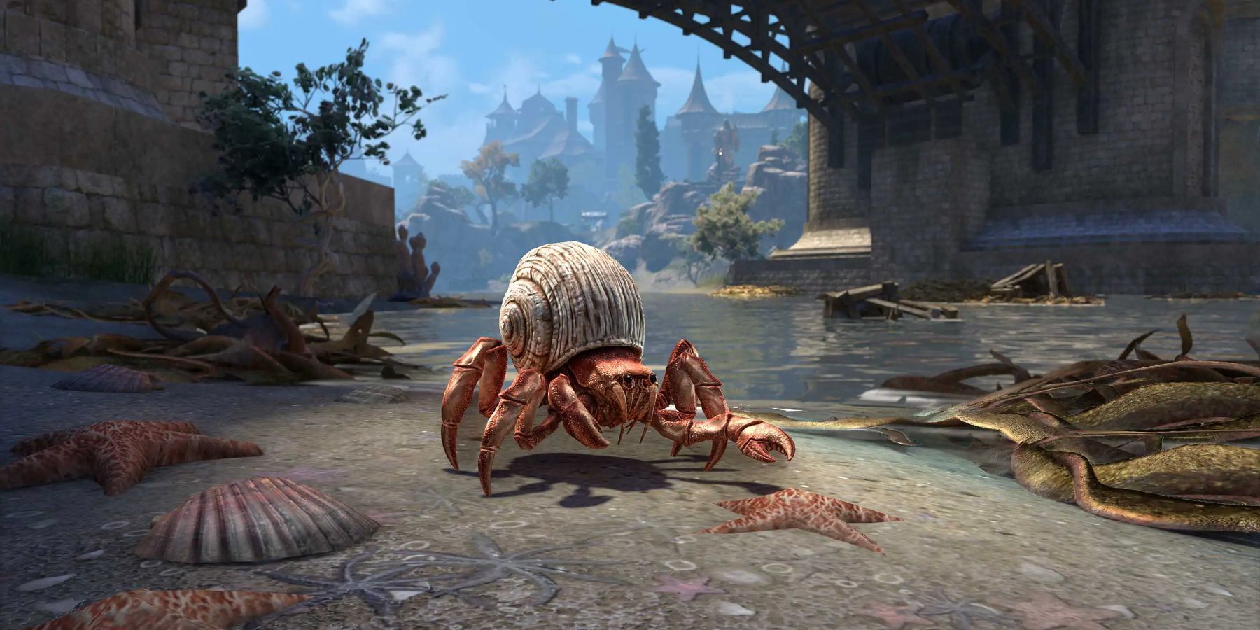 Elder Scrolls Online High Isle Mounts Pets Hermit Crab