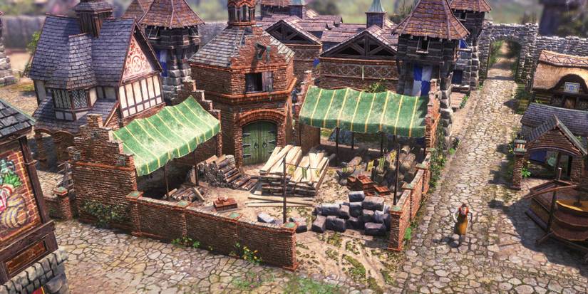 Farthest Frontier - Storage