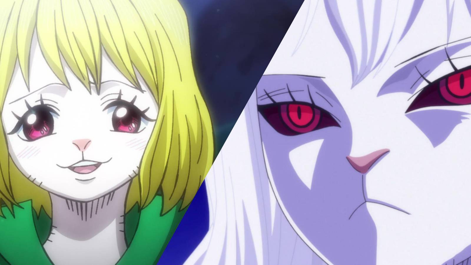 Featured Carrot's New Role One Piece