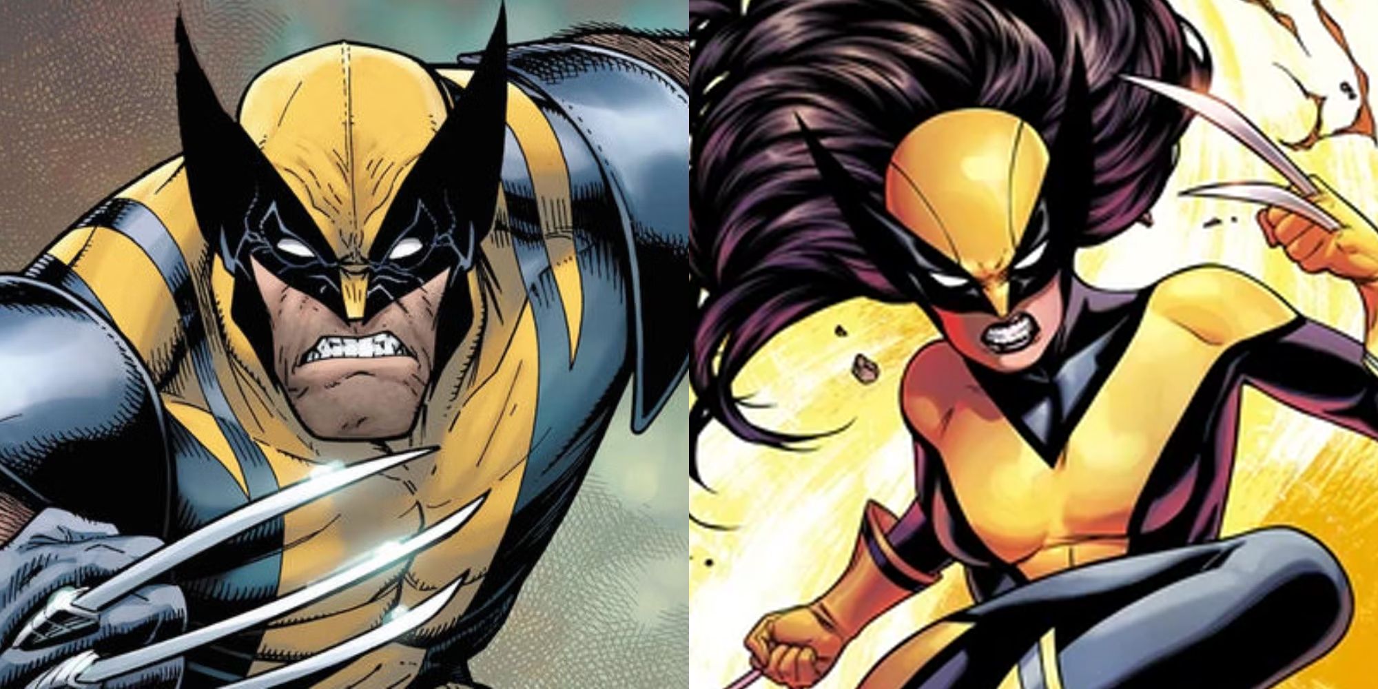 Featured Wolverine