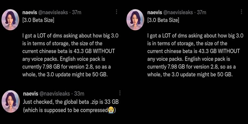 Genshin Impact beta size leak