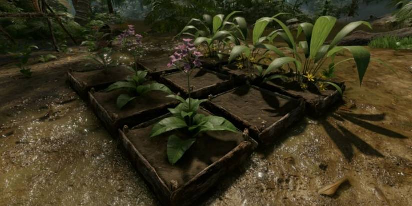 Green Hell - Plant Cultivation