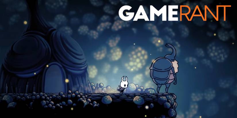 Hollow Knight the Nailsmith choice