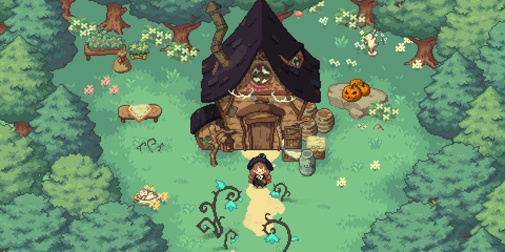 The player in Little Witch in the Woods in front of the characters hut surrounded by woodlands pumpkins and flowers