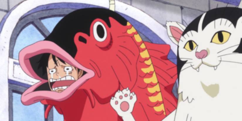 Luffy in Koi costume