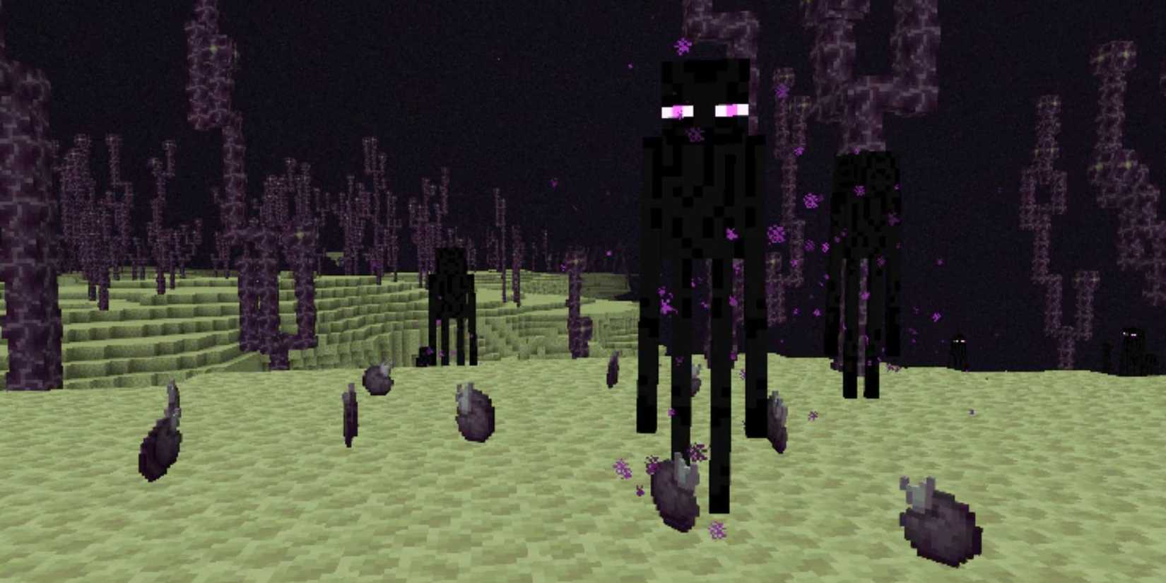 Minecraft Chorus Fruit On The Ground Next To Enderman