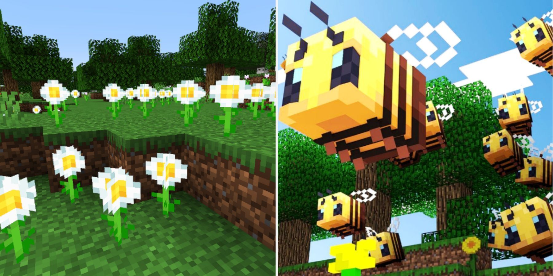 Minecraft Flowers and Bees