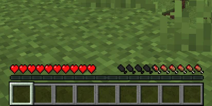 Minecraft Hunger Bar Close Up