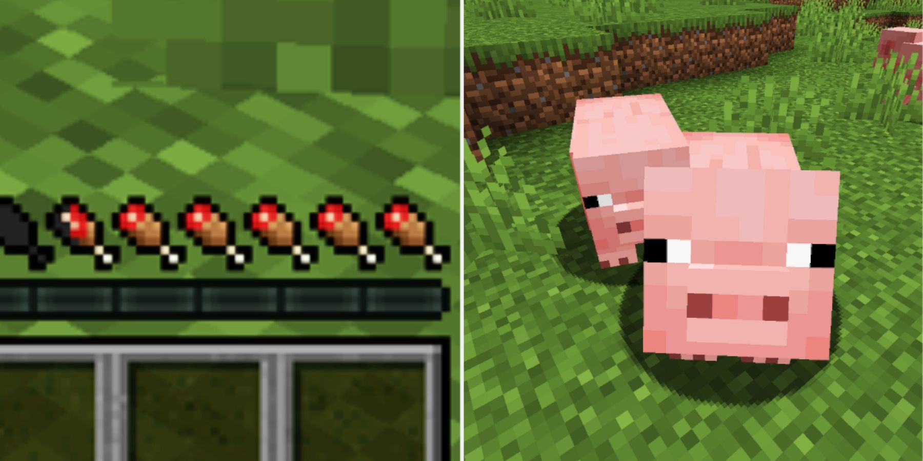 Minecraft Hunger Bar and Pigs