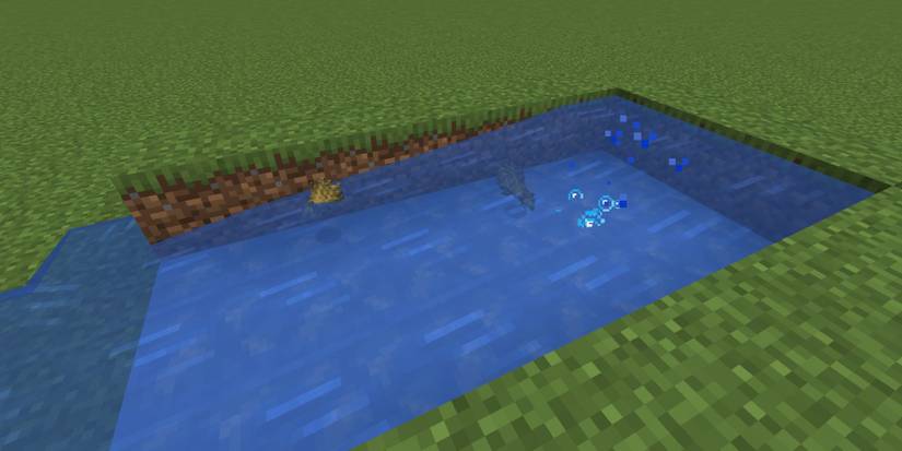 Minecraft Items Floating Quickly In Water Over Ice