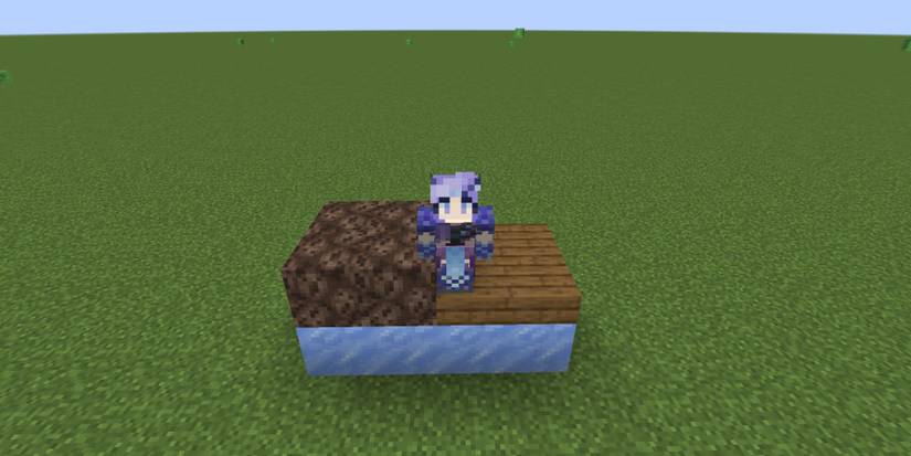 Minecraft Player On Blocks Above Ice