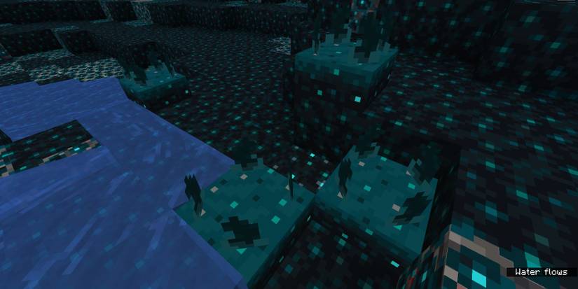 Minecraft Sculk Sensor