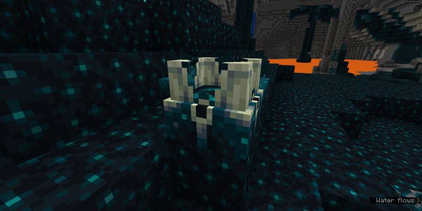Shulk Block Minecraft: Every Sculk Block & What They Do