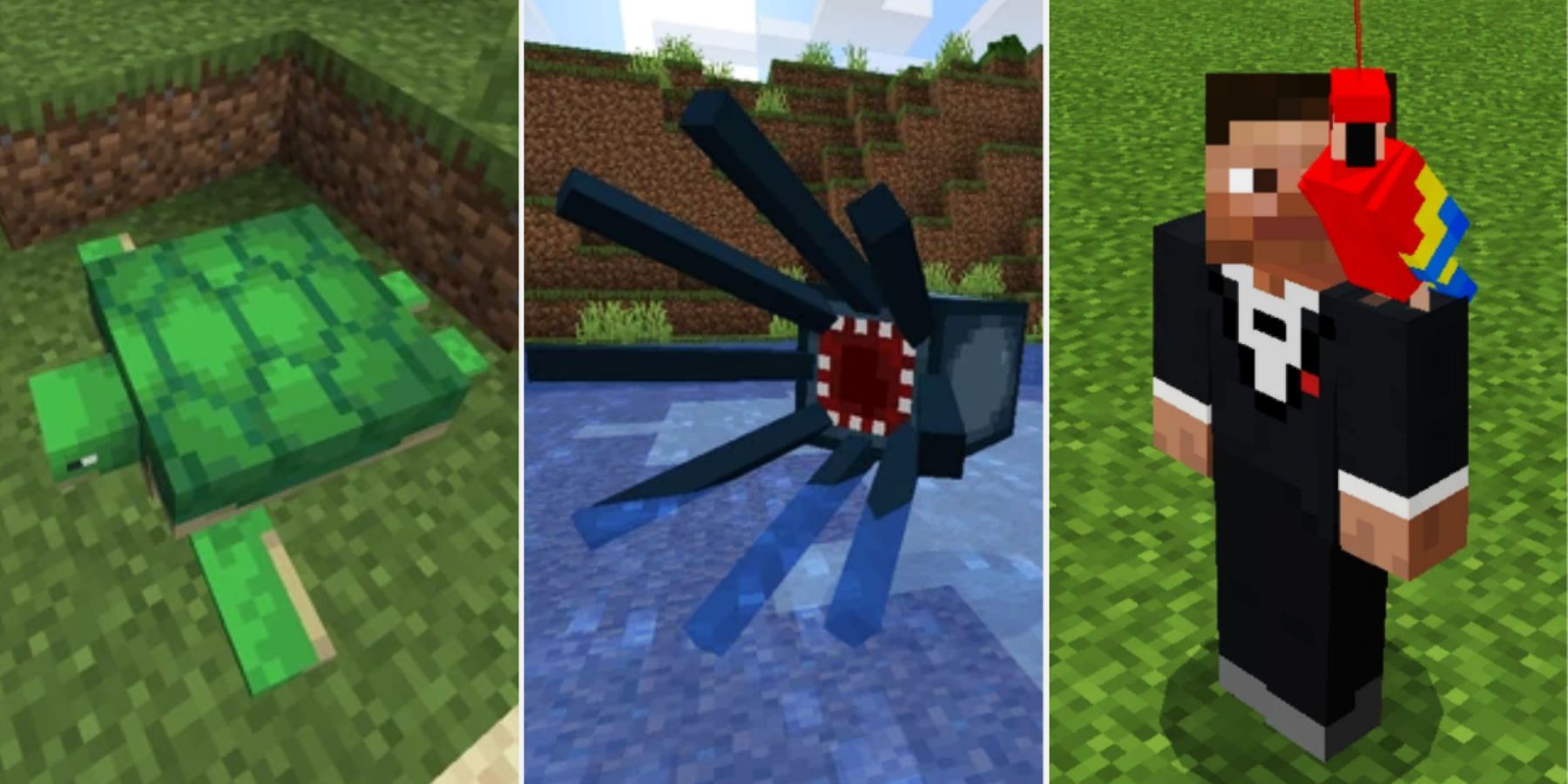Minecraft Turtle, Squid and Parrot