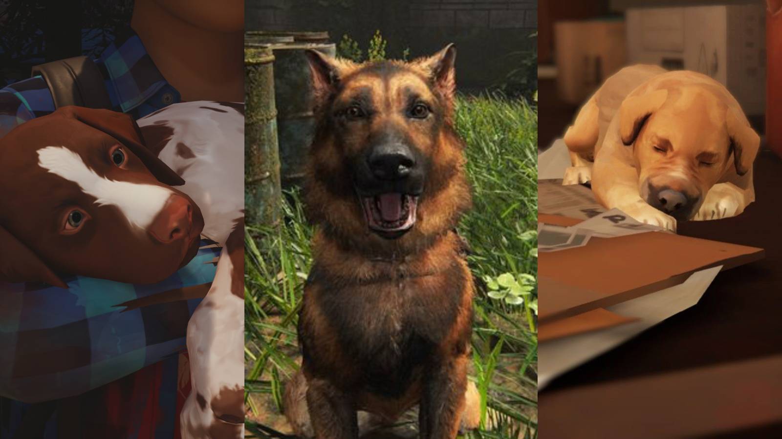 Mushroom from life Is Strange 2 Alice From TLOU2 and Pompidou Life Is Strange