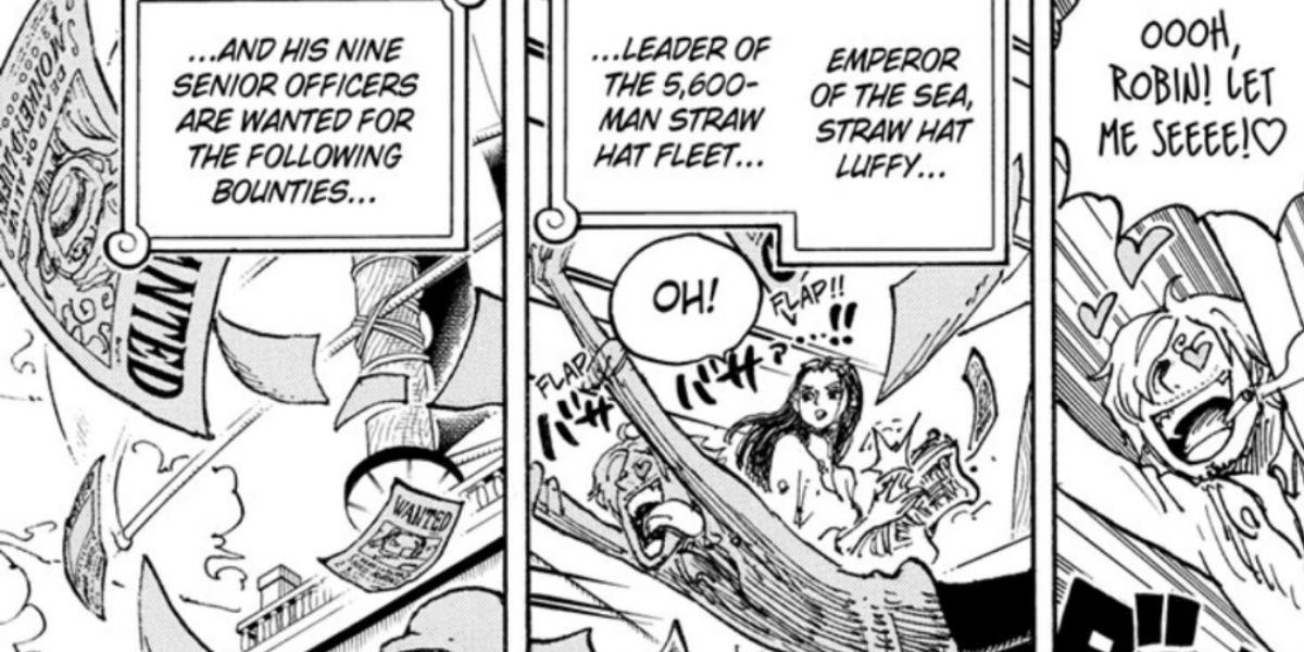 One Piece: Luffy's Nine Great Officers, Explained