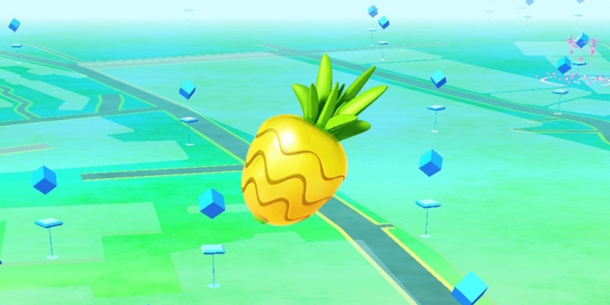 Pokemon GO Pinap Berry Closeup