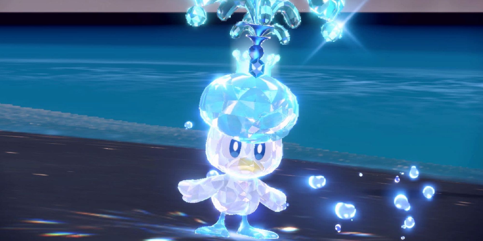 A Quaxly activating its Water Tera Type during battle in Scarlet & Violet