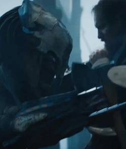 The Most Powerful Predators, Ranked