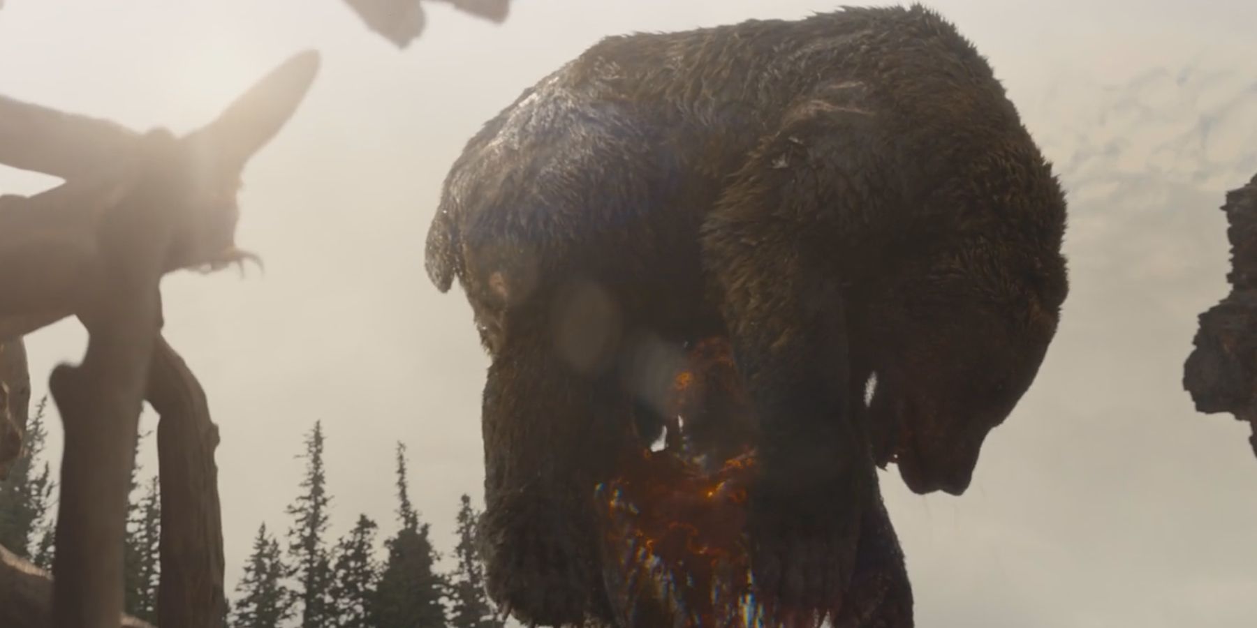 Хищник поднимает медведя над головой