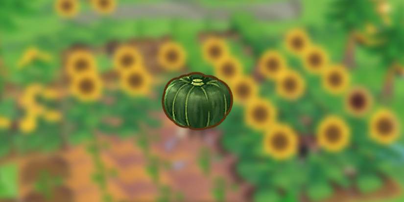Pumpkin in front of sunflowers in Story of Seasons: Pioneers of Olive Town
