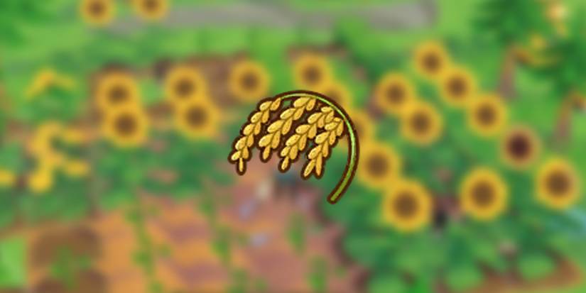 Rice in front of sunflowers in Story of Seasons: Pioneers of Olive Town