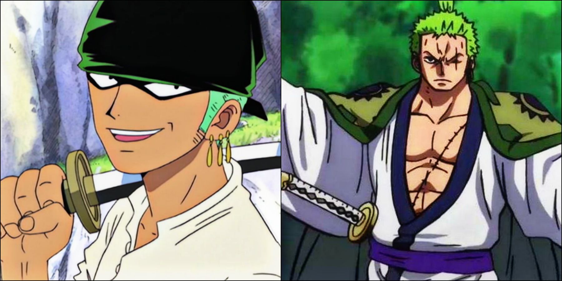 Zoro turned faceless for like 0.1 second, One Piece