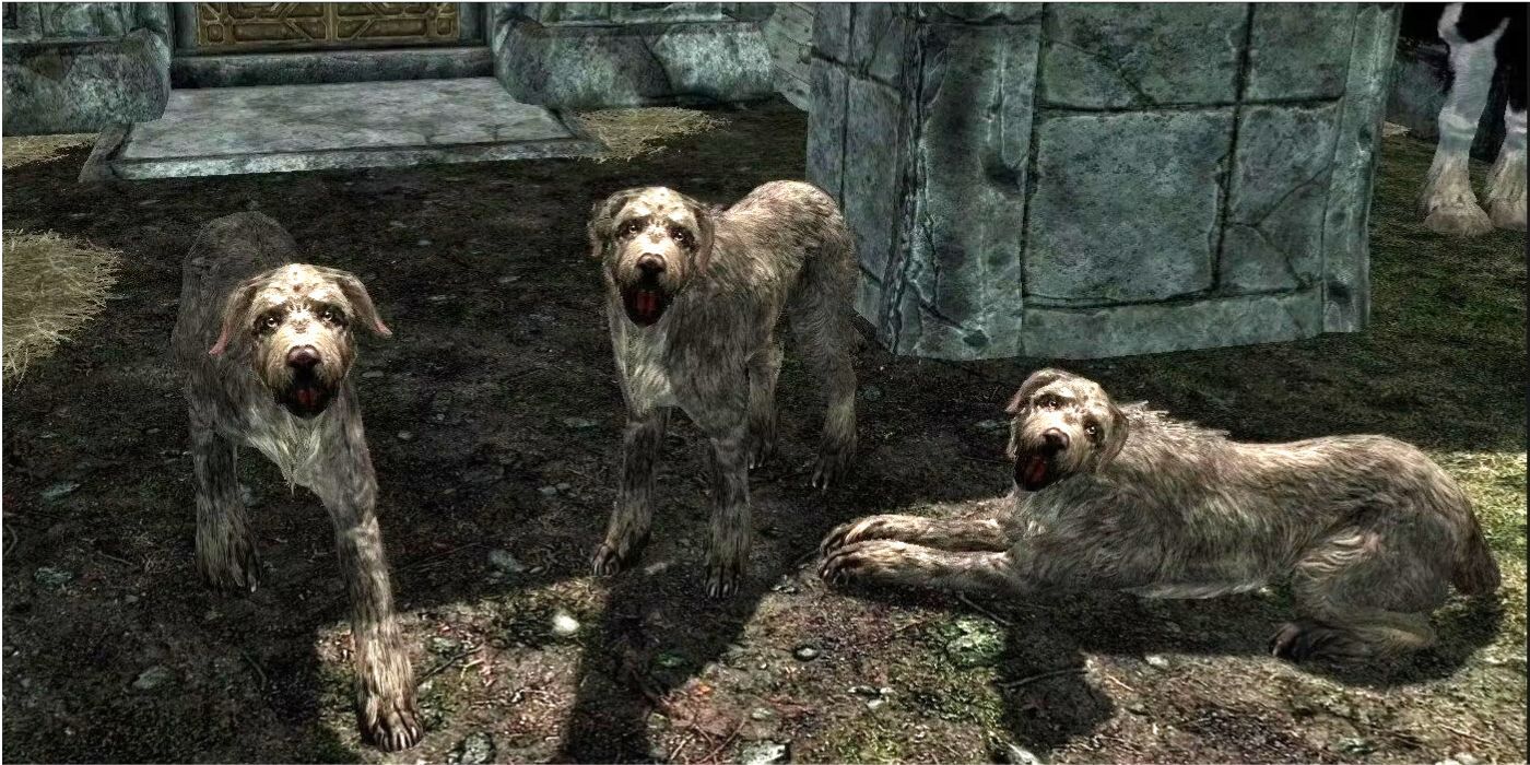Skyrim Unnamed Dogs