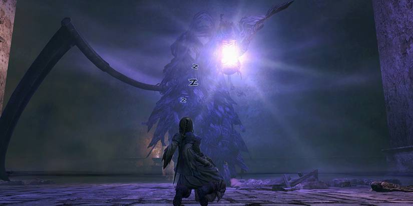 Sleep by Death in Dragons Dogma