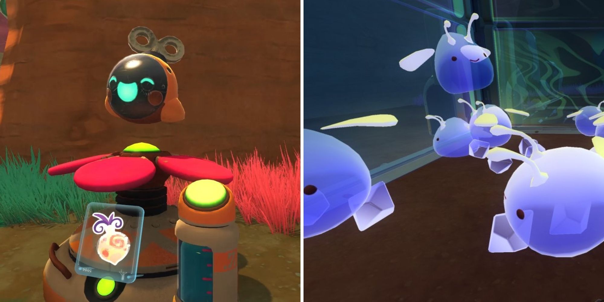 On the left is a picture of a  happy drone sitting on top of a flower and on the right is a corral of Phosphorus Slimes