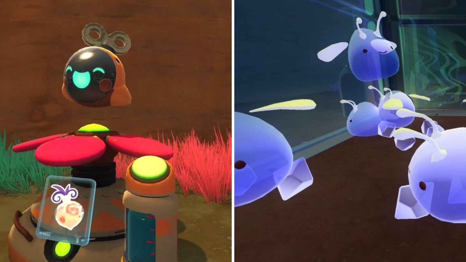 Slime Rancher: Tips For The Best Ranch Layout