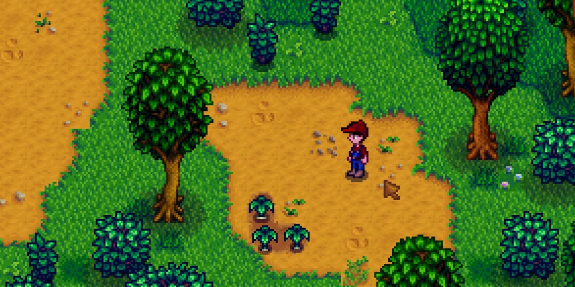 Player exploring Pelican Town with a patch of Spring Onions between two trees