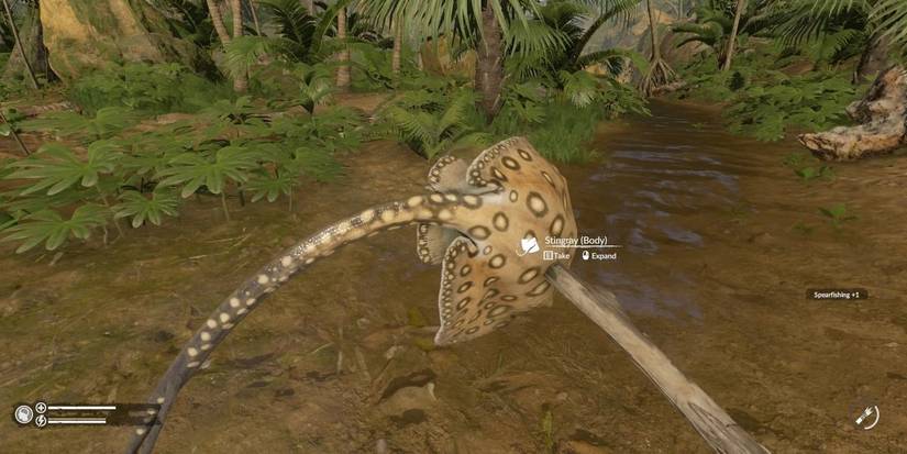 A Stingray Caught on the end of a spear in Green Hell