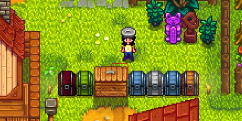 Storage Boxes in Stardew Valley