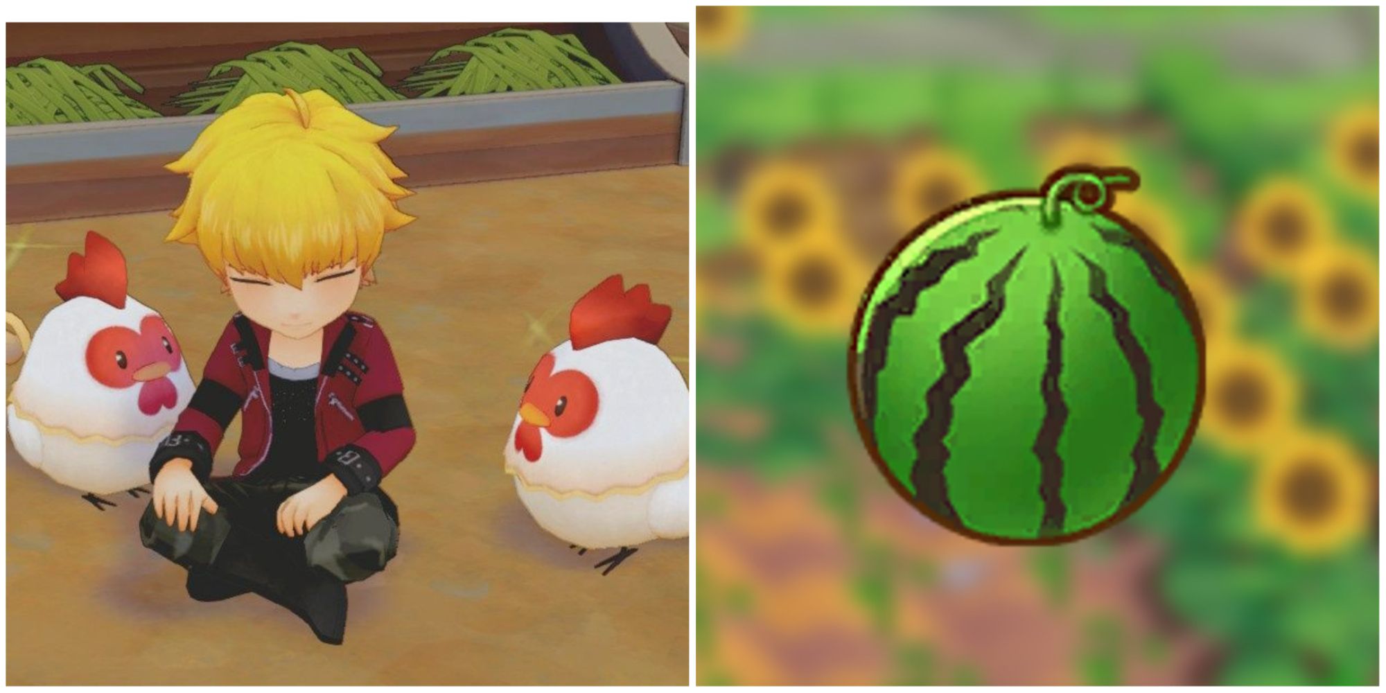 Story of seasons pioneers of olive town best crops for summer