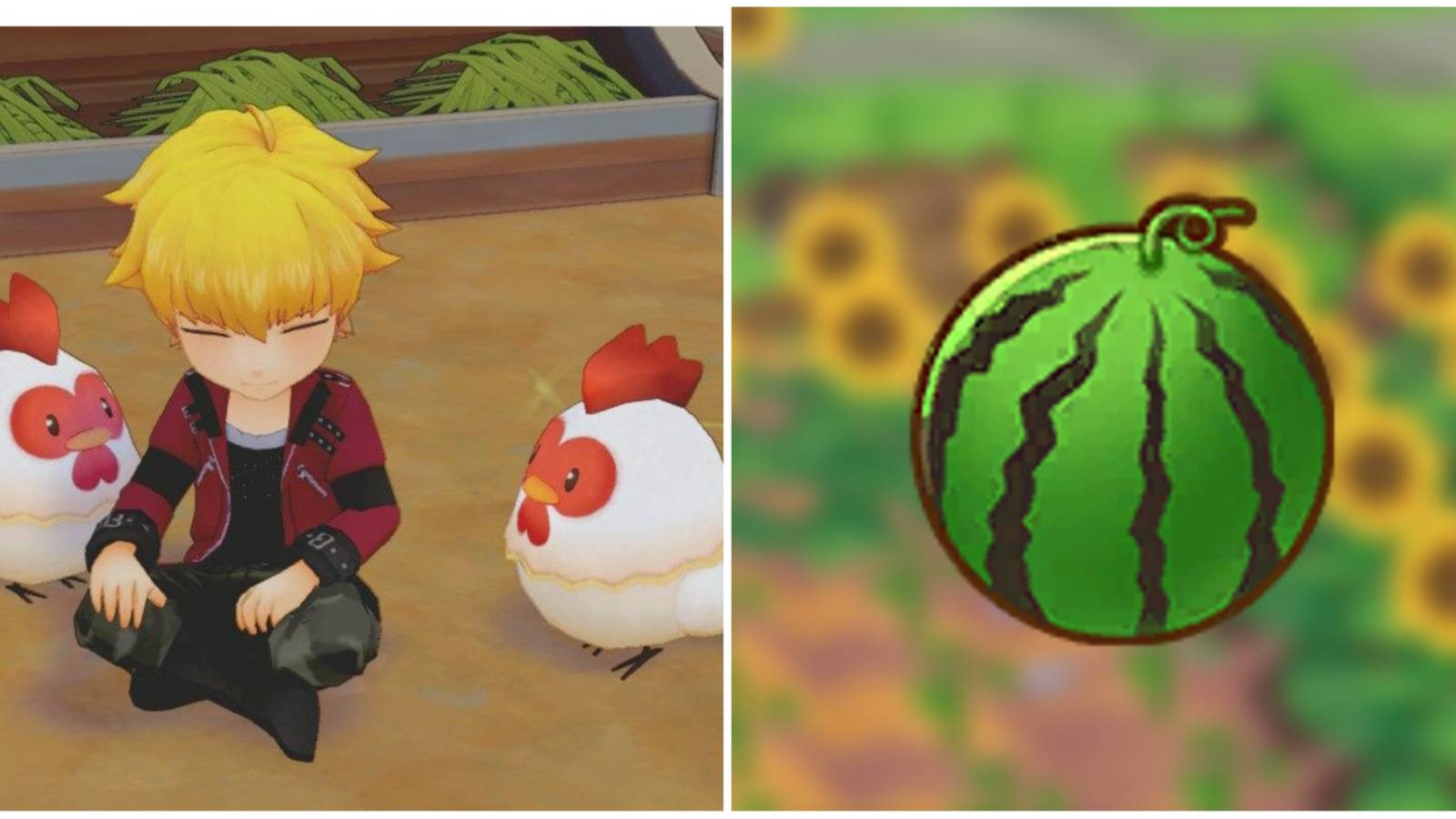 Story of Seasons: Pioneers of Olive Town showing the character Neil sitting with chickens and a watermelon