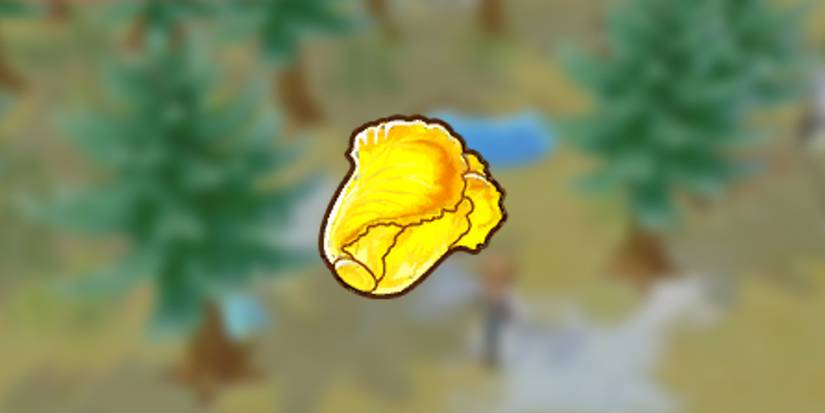 Golden Nappa Cabbage in front of a snowy background in Story of Seasons: Pioneers of Olive Town