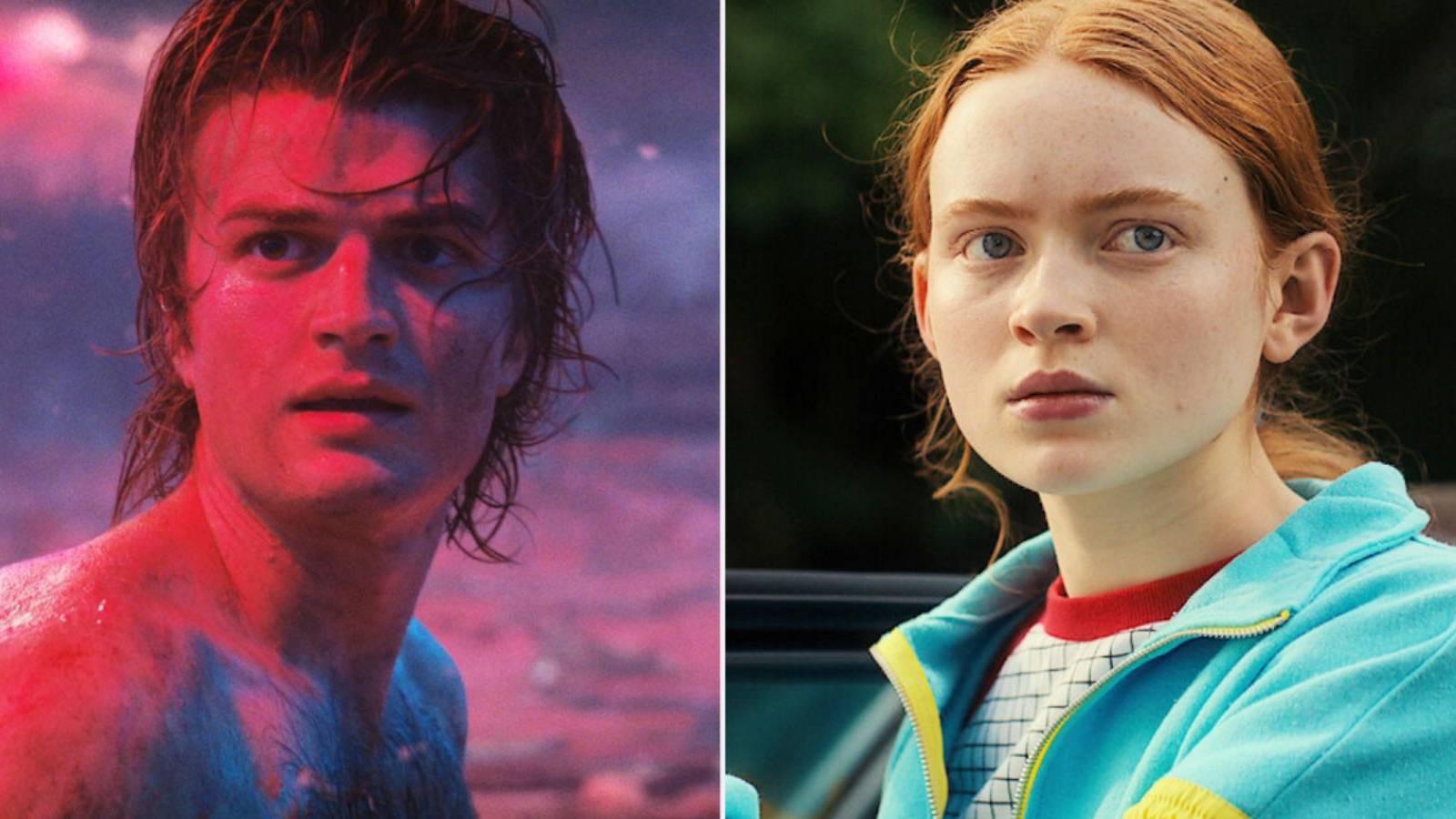 Stranger Things Steve Harrington and Max Mayfield