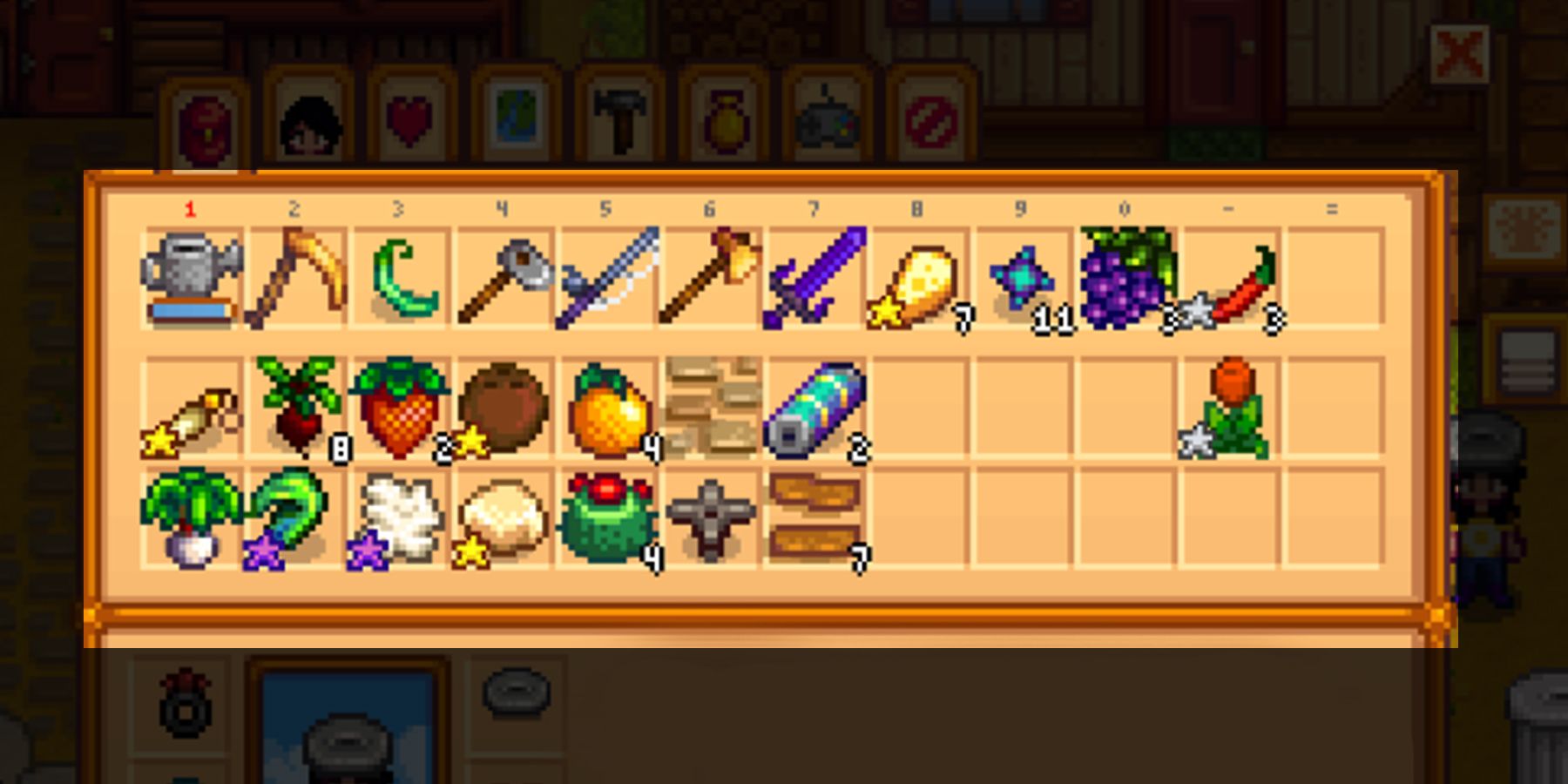The Inventory in Stardew Valley