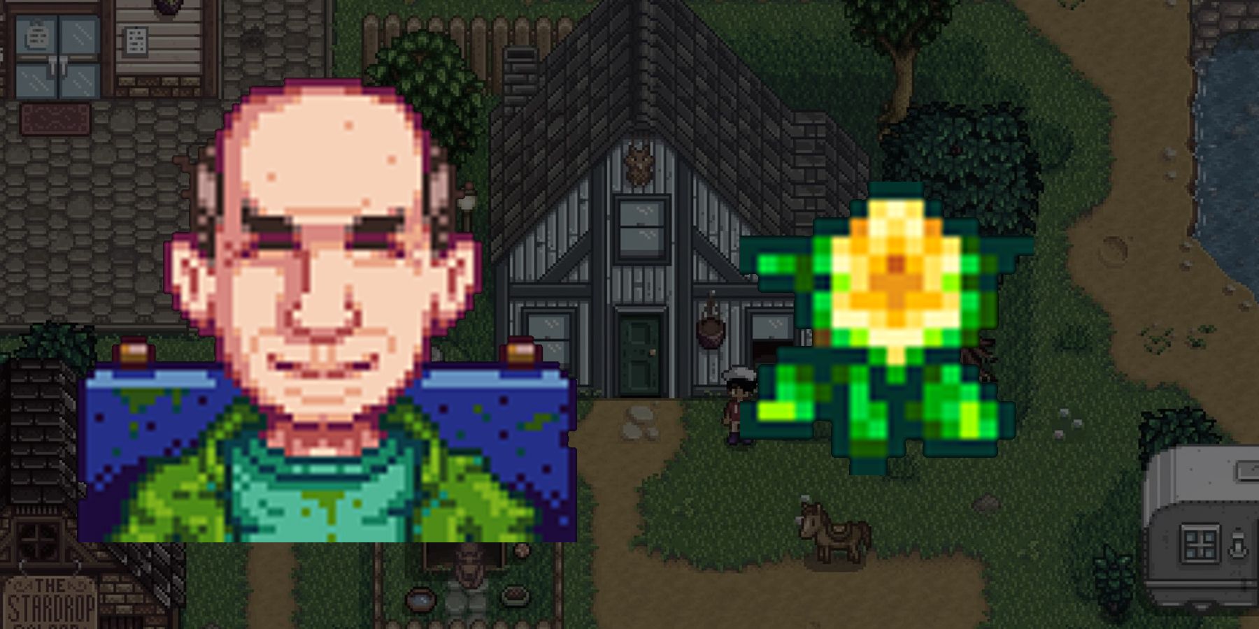 Things that George Likes in Stardew Valley