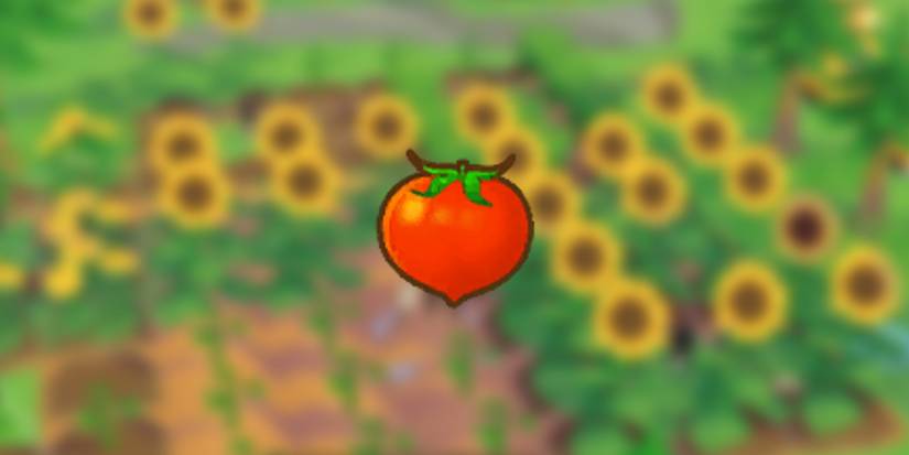 Tomato in front of sunflower background in Story of Seasons: Pioneers of Olive Town
