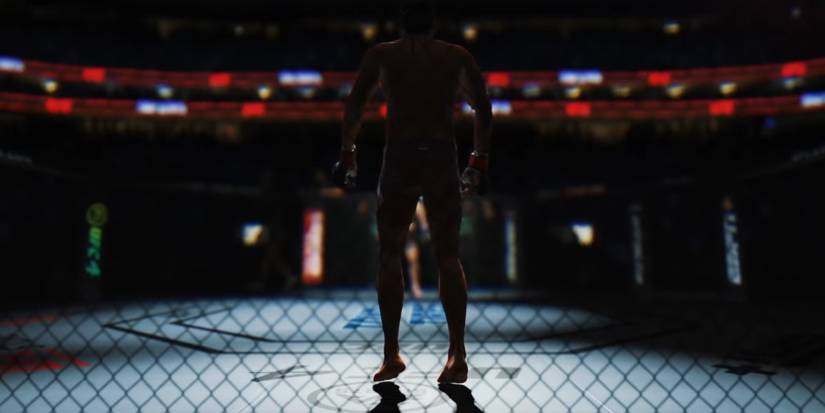 UFC 4 Entry