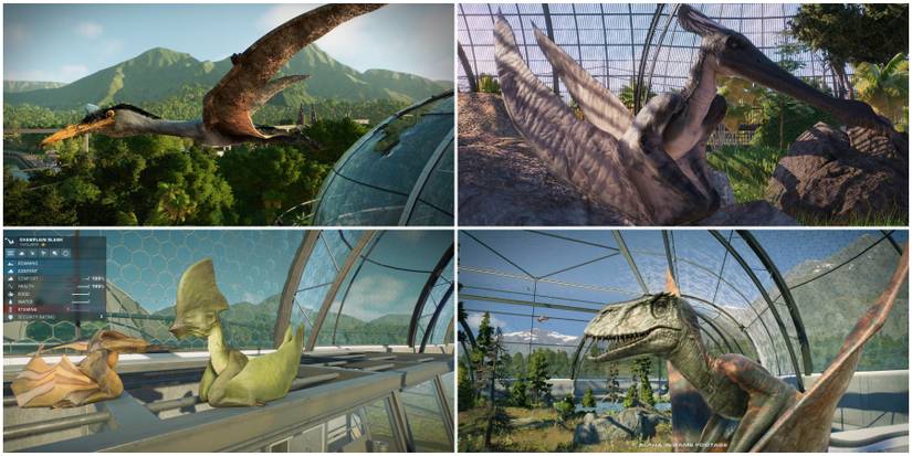 Various Azhdarchidae Dinosaurs (Quetzalcoatlus, Cearadactylus, Tapejara, and Dimorphodon) Jurassic World Evolution 2