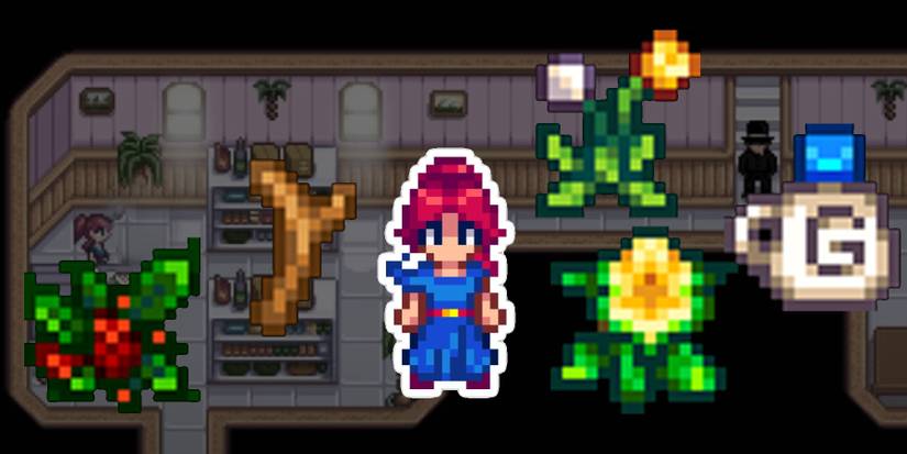 Various Gifts surrounding Sandy