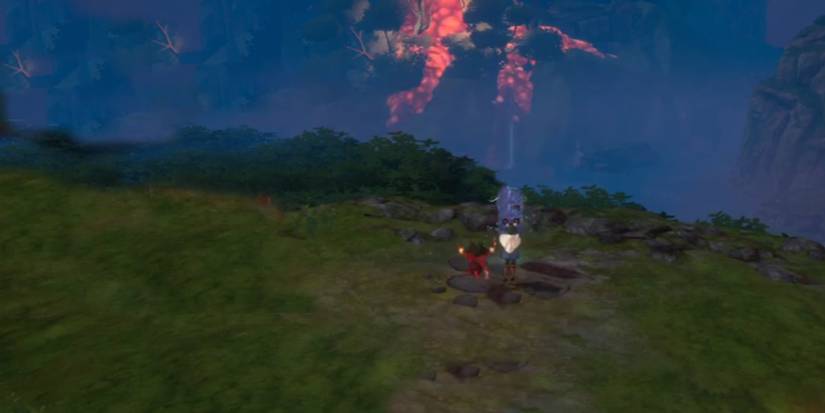 Vista in Mushroom Tree