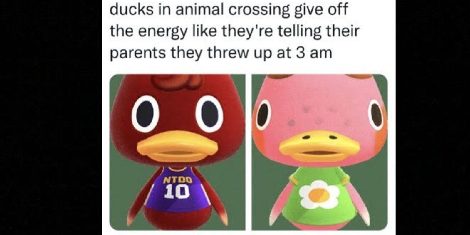 acnh duck villager meme (1) Cropped