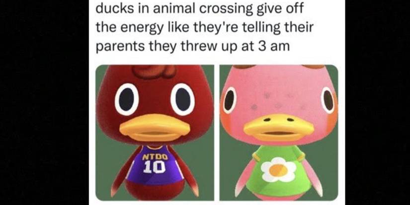 acnh duck villager meme (1) Cropped