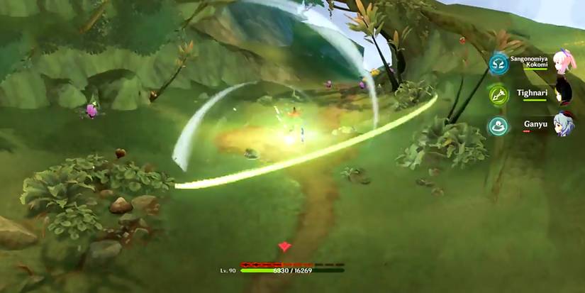 affected area  by the withering in genshin impact