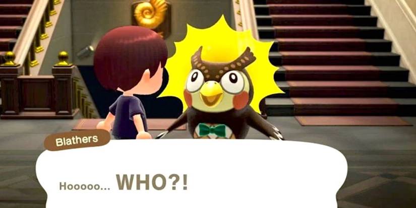 Blathers the owl getting jumpscared in Animal Crossing: New Horizons